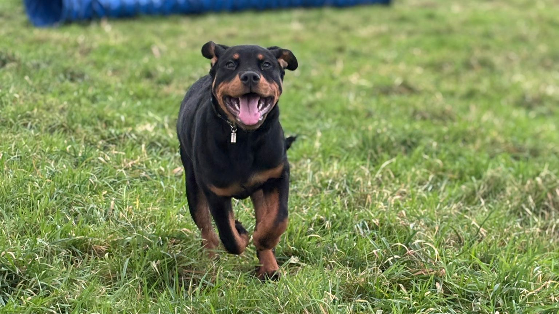 Compassionate and Effective Training